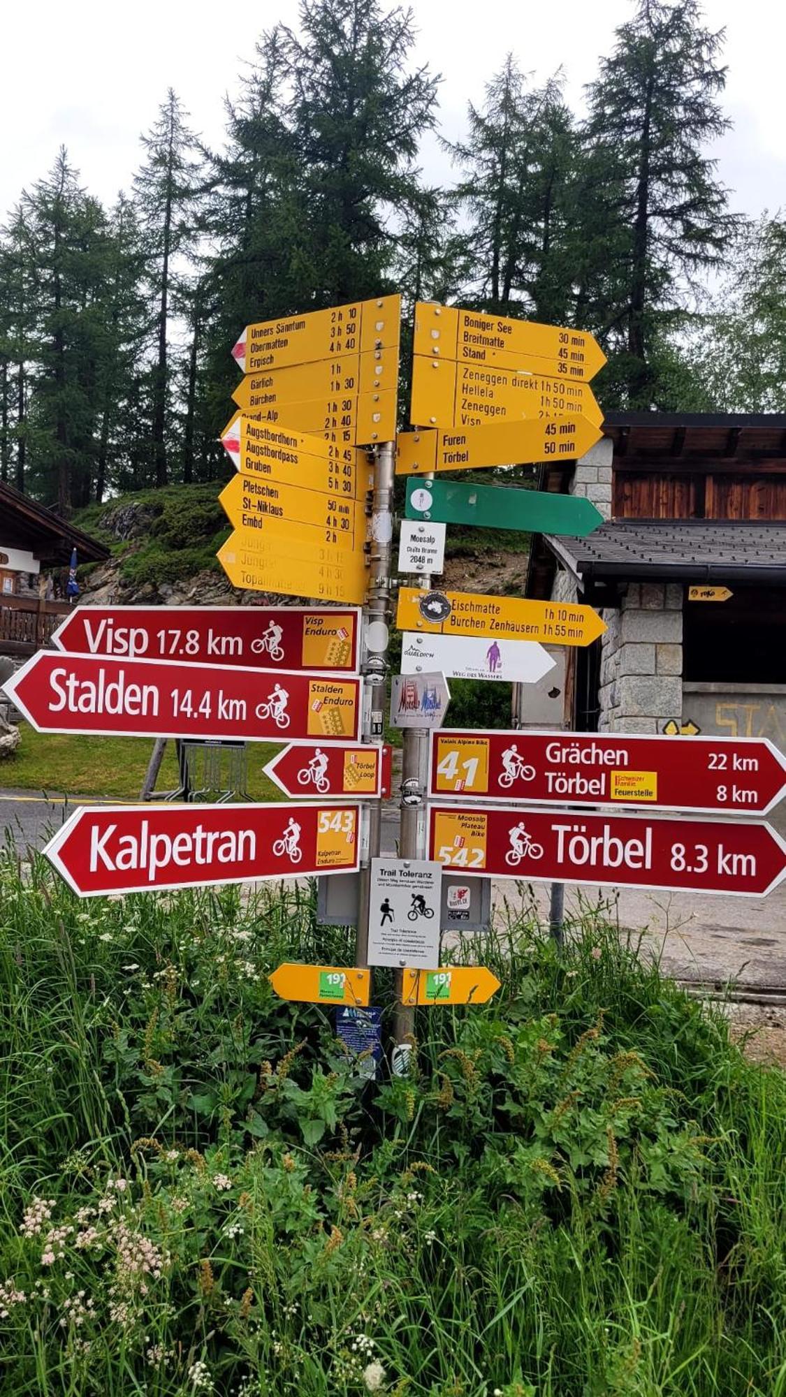 Chalet Bergmann Bürchen Exteriör bild