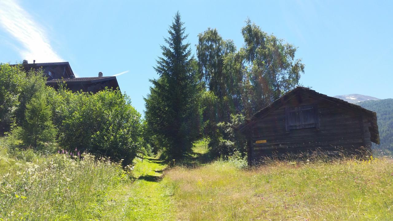 Chalet Bergmann Bürchen Exteriör bild