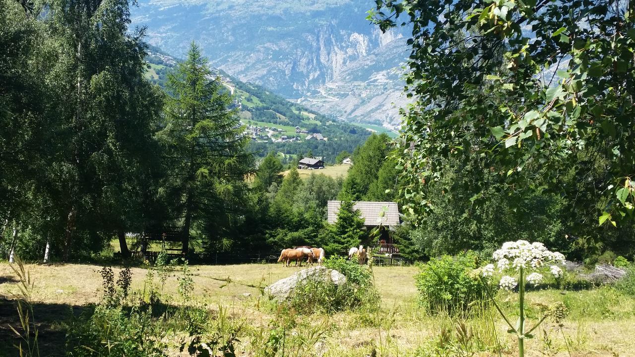 Chalet Bergmann Bürchen Exteriör bild