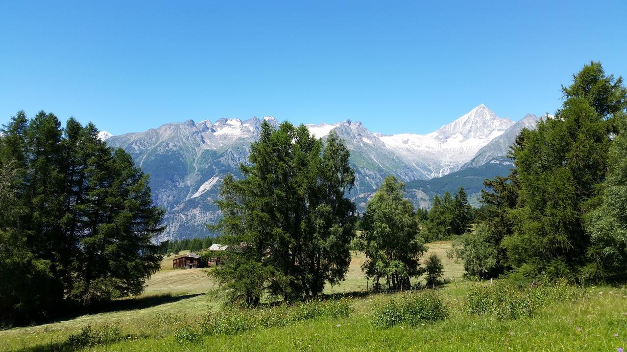 Chalet Bergmann Bürchen Exteriör bild