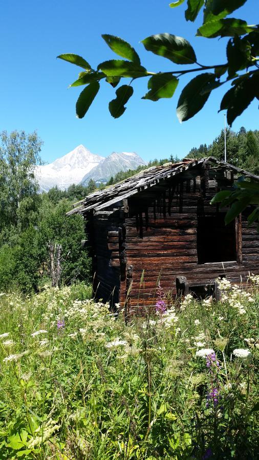 Chalet Bergmann Bürchen Exteriör bild