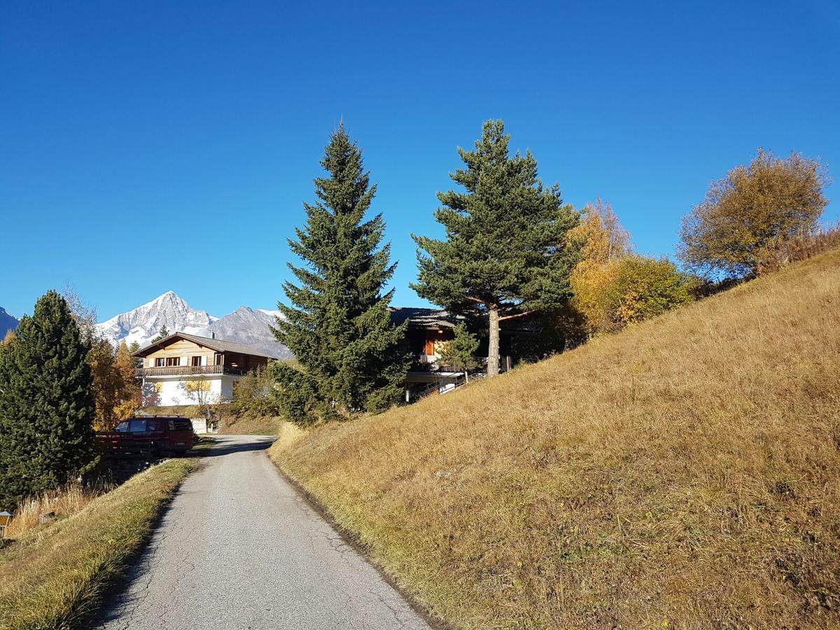 Chalet Bergmann Bürchen Exteriör bild