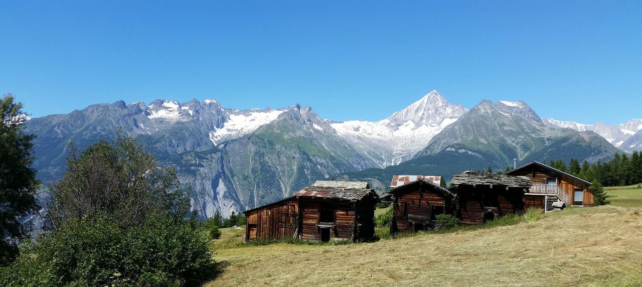 Chalet Bergmann Bürchen Exteriör bild