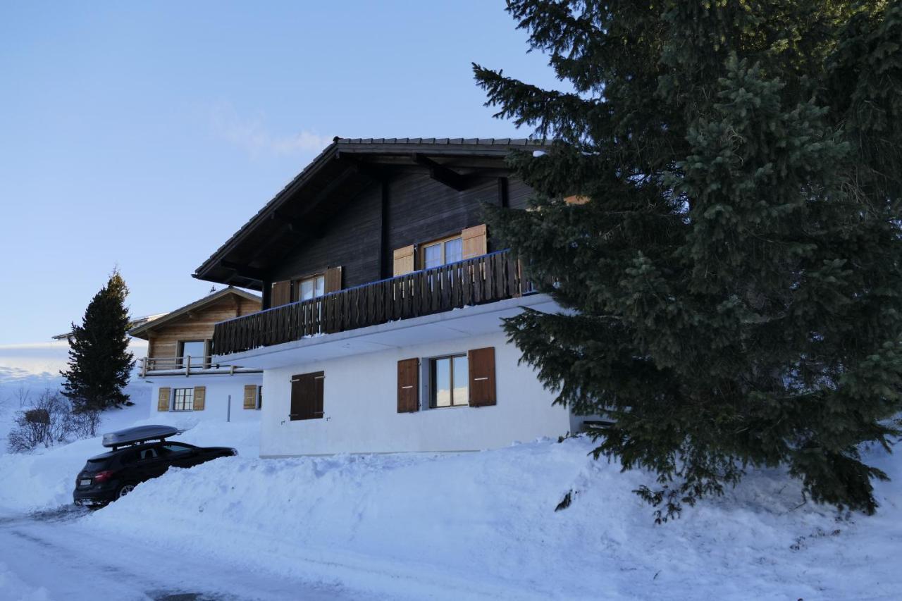 Chalet Bergmann Bürchen Exteriör bild
